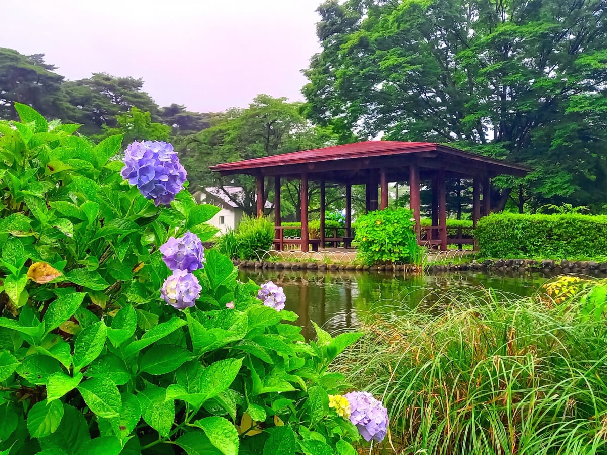 烏ヶ森公園の写真1