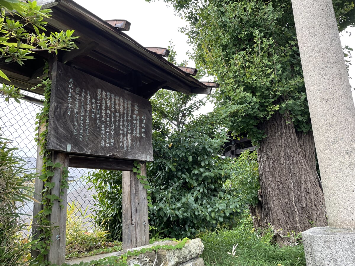 小日向神社の写真3