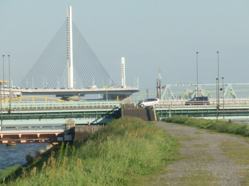 荒川河川敷の写真4