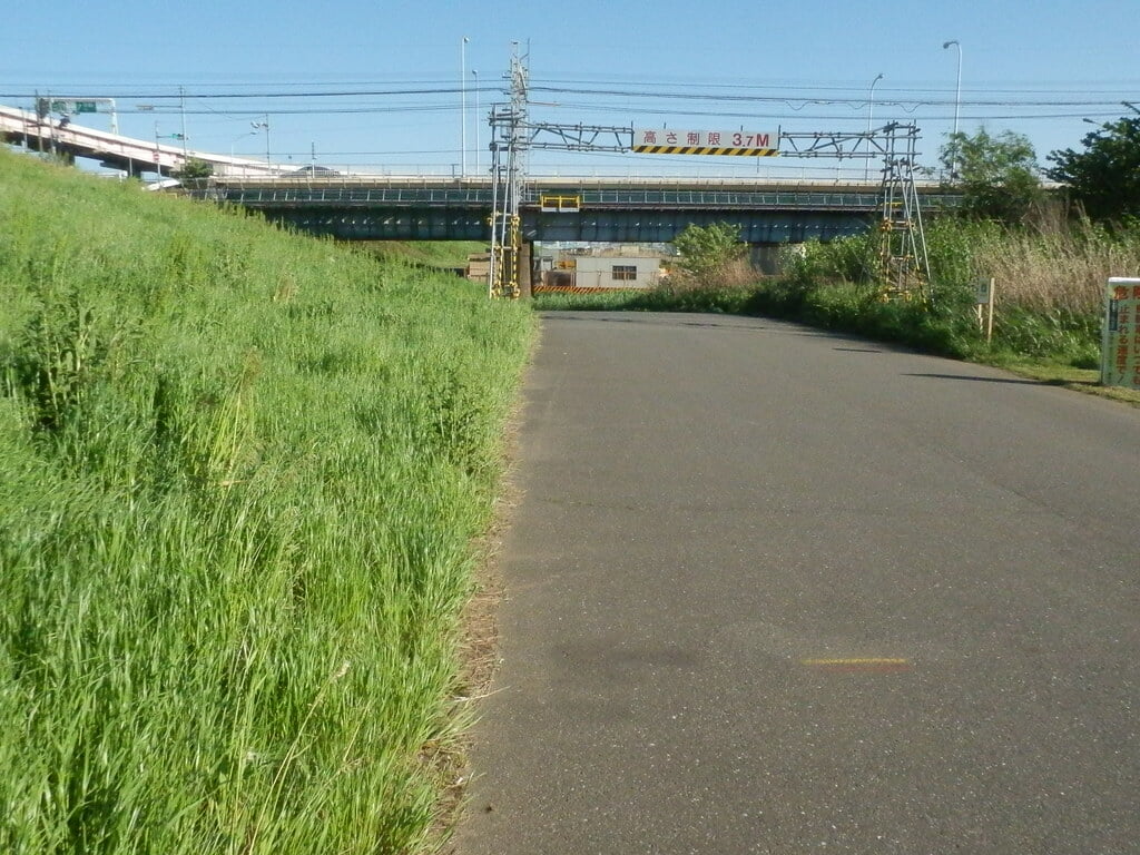 荒川河川敷の写真5