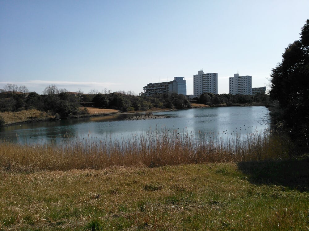 長浜公園の写真1