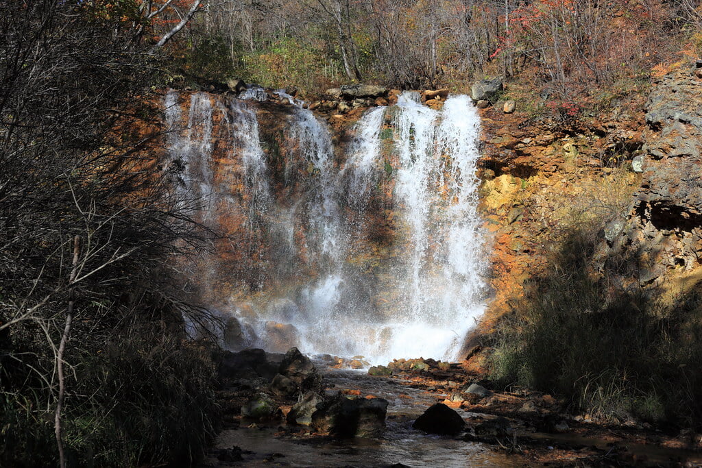 チャツボミゴケ公園の写真3