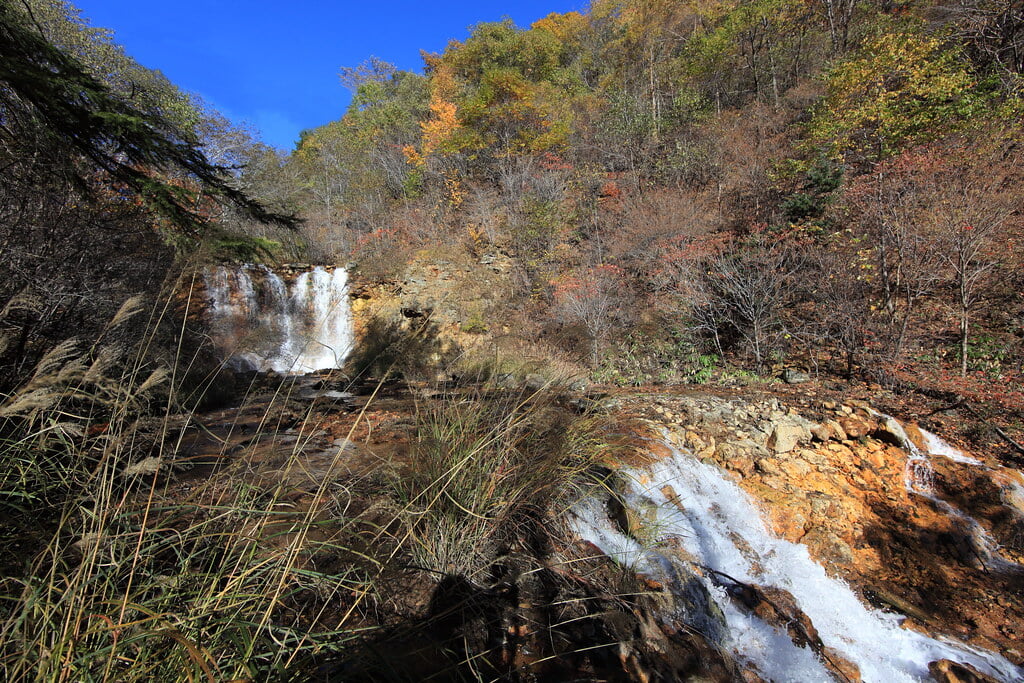 チャツボミゴケ公園の写真4