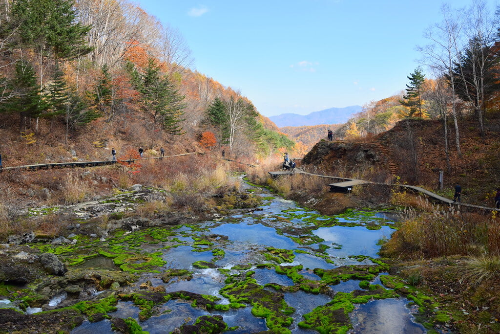 チャツボミゴケ公園の写真7