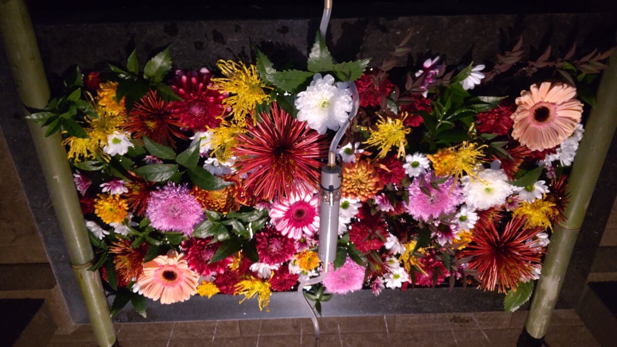 石神井氷川神社の写真1