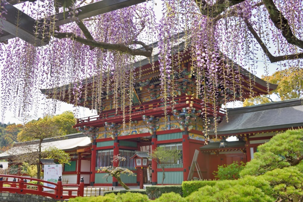 祐徳稲荷神社の写真4