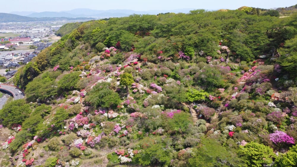 祐徳稲荷神社の写真6