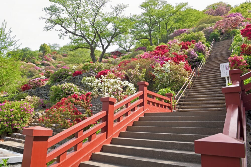 祐徳稲荷神社の写真7