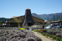 河口湖自然生活館