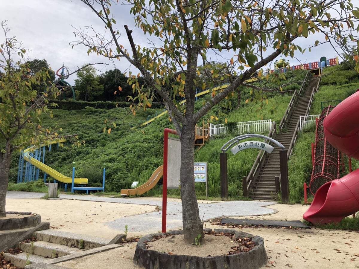 月の丘公園の写真2