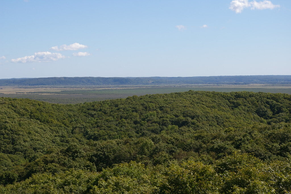 釧路市湿原展望台の写真2