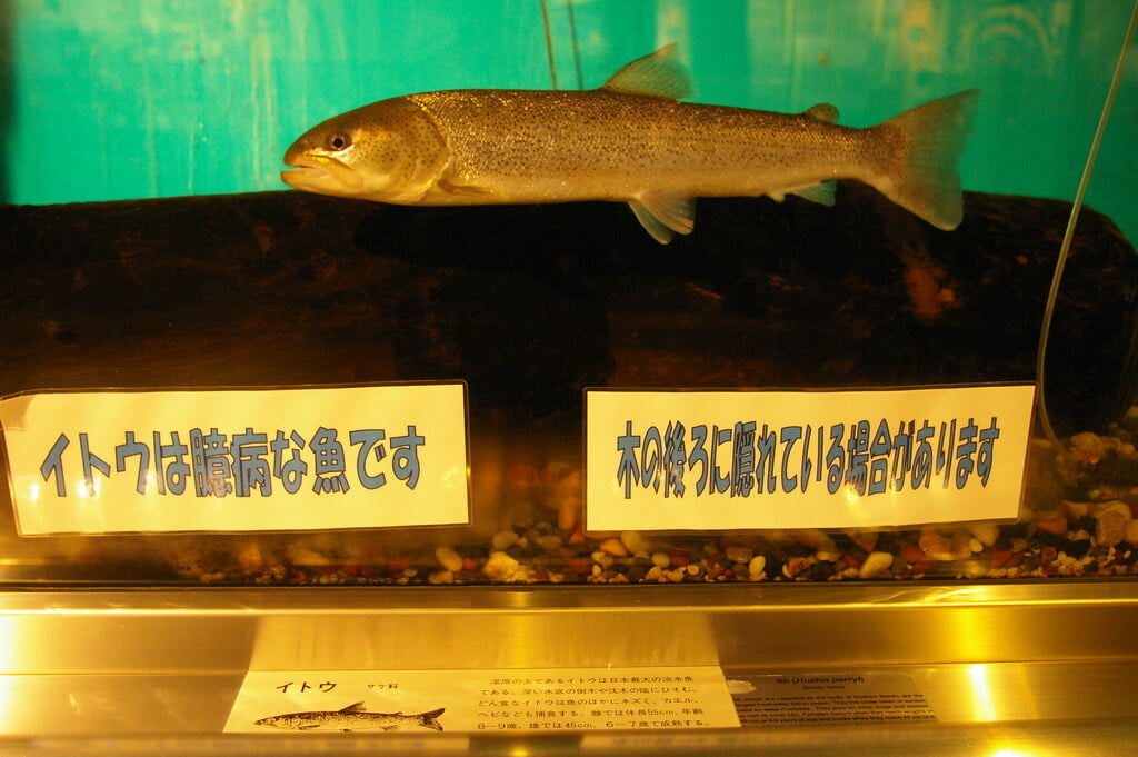 釧路市湿原展望台の写真4