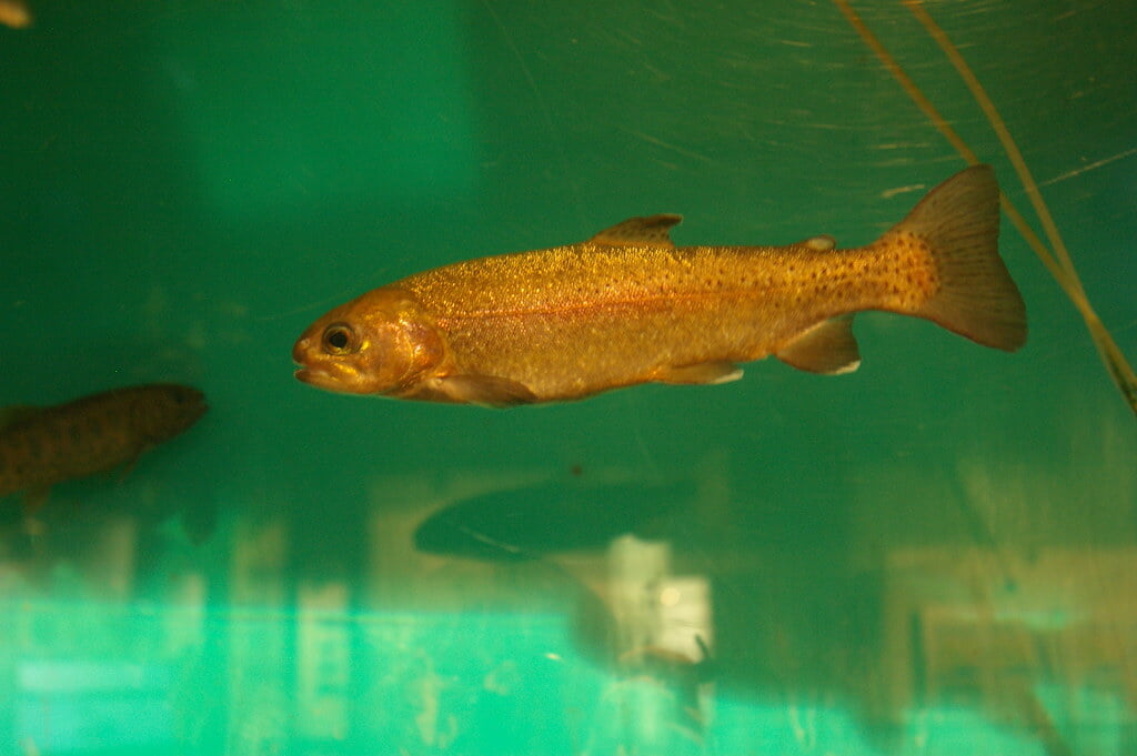 釧路市湿原展望台の写真5