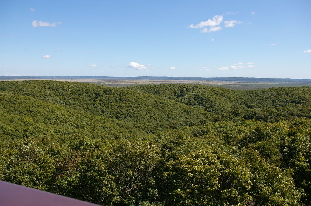 釧路市湿原展望台の写真6