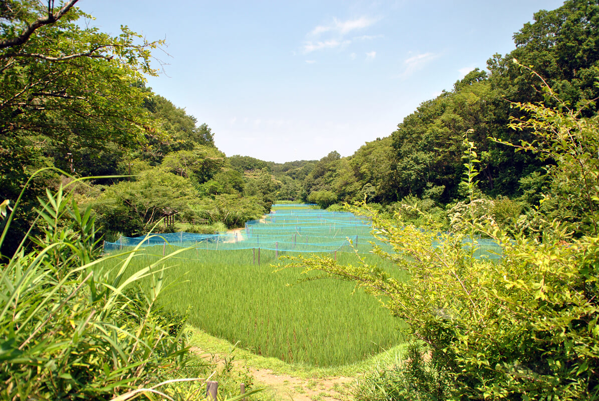 舞岡公園の写真4