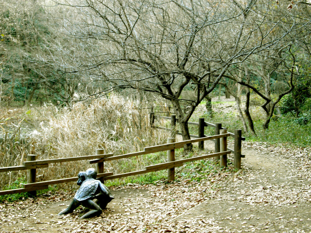 舞岡公園の写真1