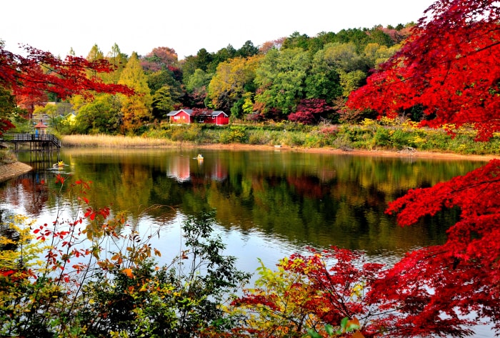 ムーミンバレーパーク・メッツァビレッジの写真10