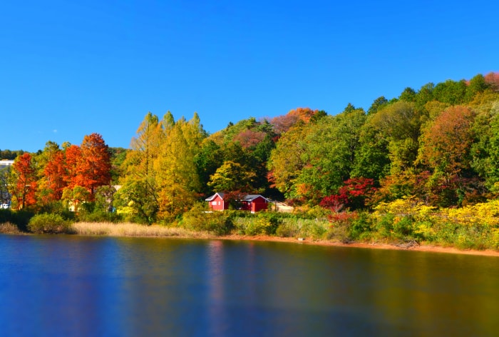 ムーミンバレーパーク・メッツァビレッジの写真12