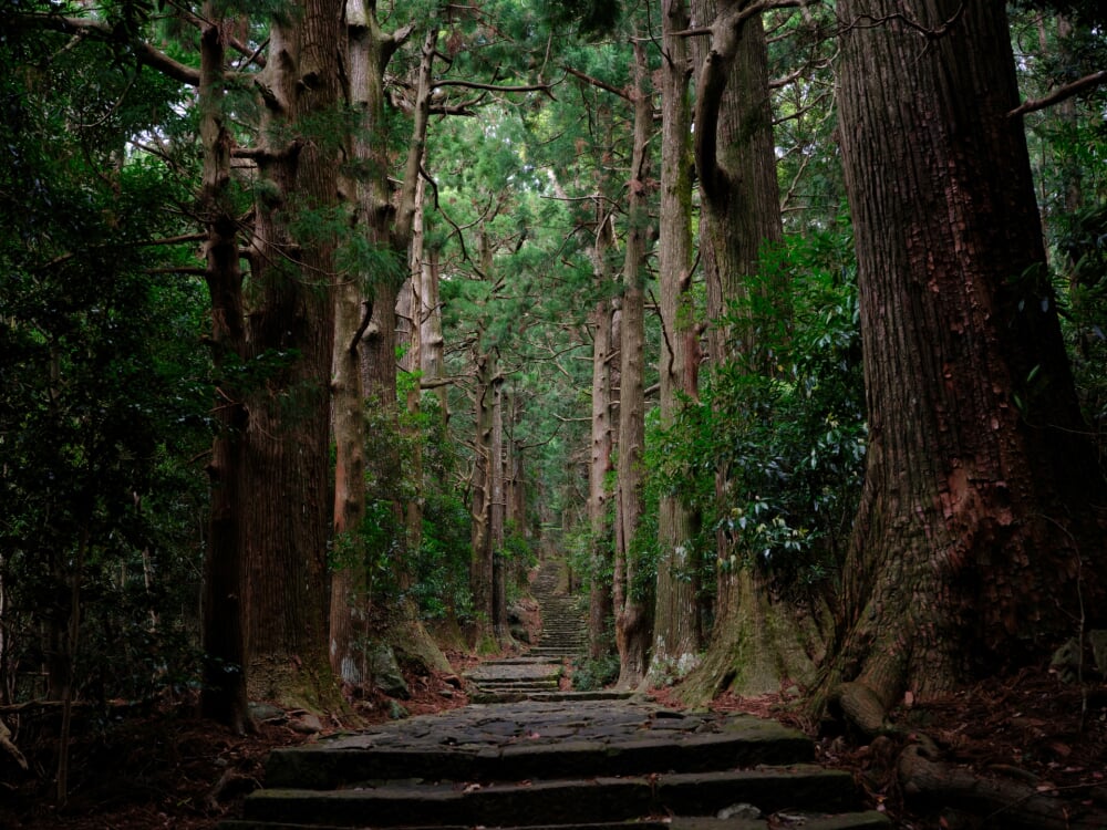 熊野古道の写真3