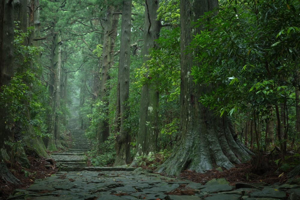 熊野古道の写真4