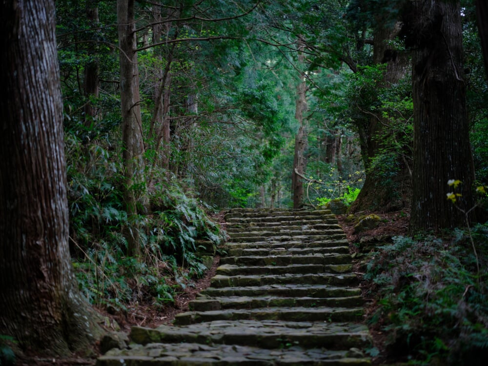 熊野古道の写真6