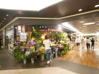 相鉄ジョイナス