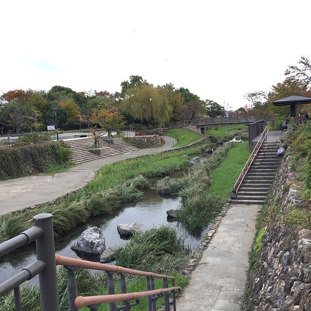 清水緑地の写真1