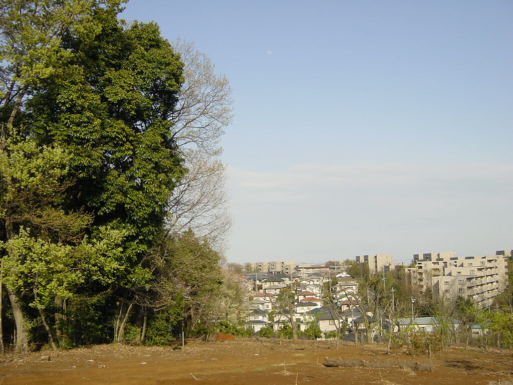 李山丹南山神 トトロの森の写真4