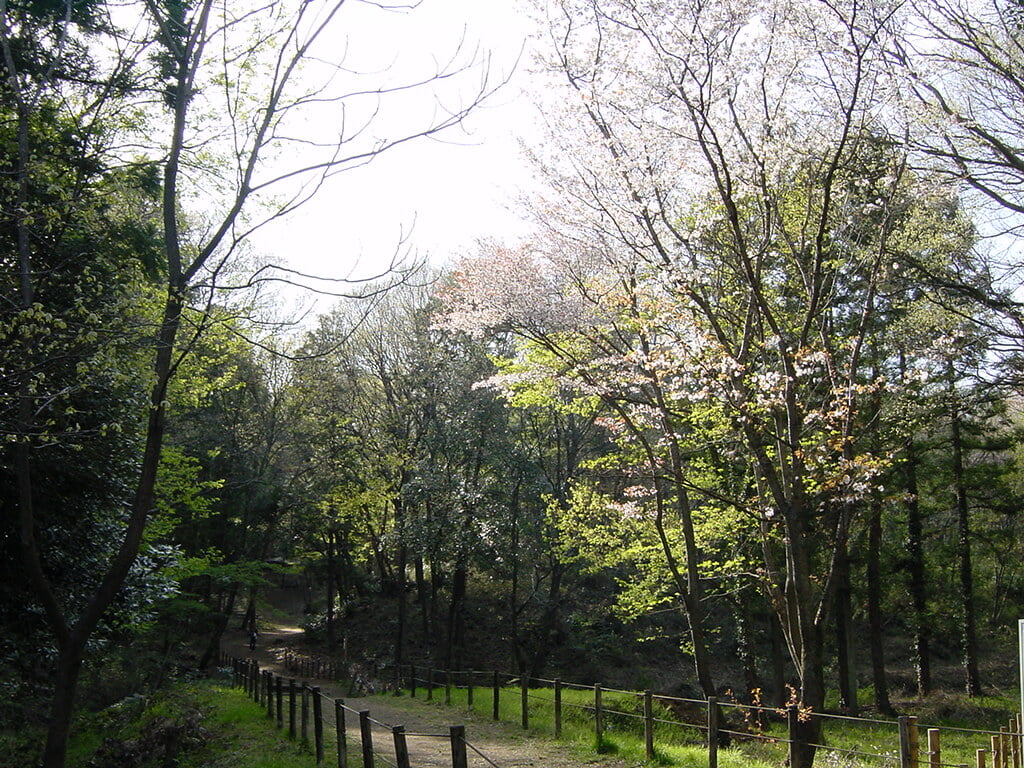 李山丹南山神 トトロの森の写真9
