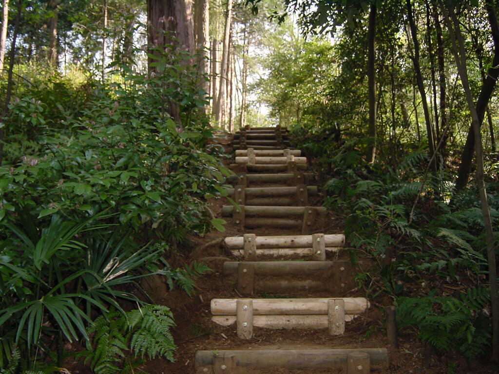 李山丹南山神 トトロの森の写真1