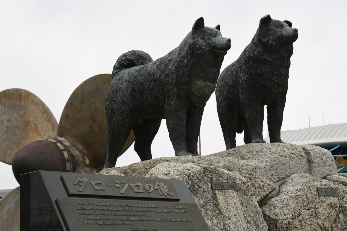 南極観測船ふじの写真3