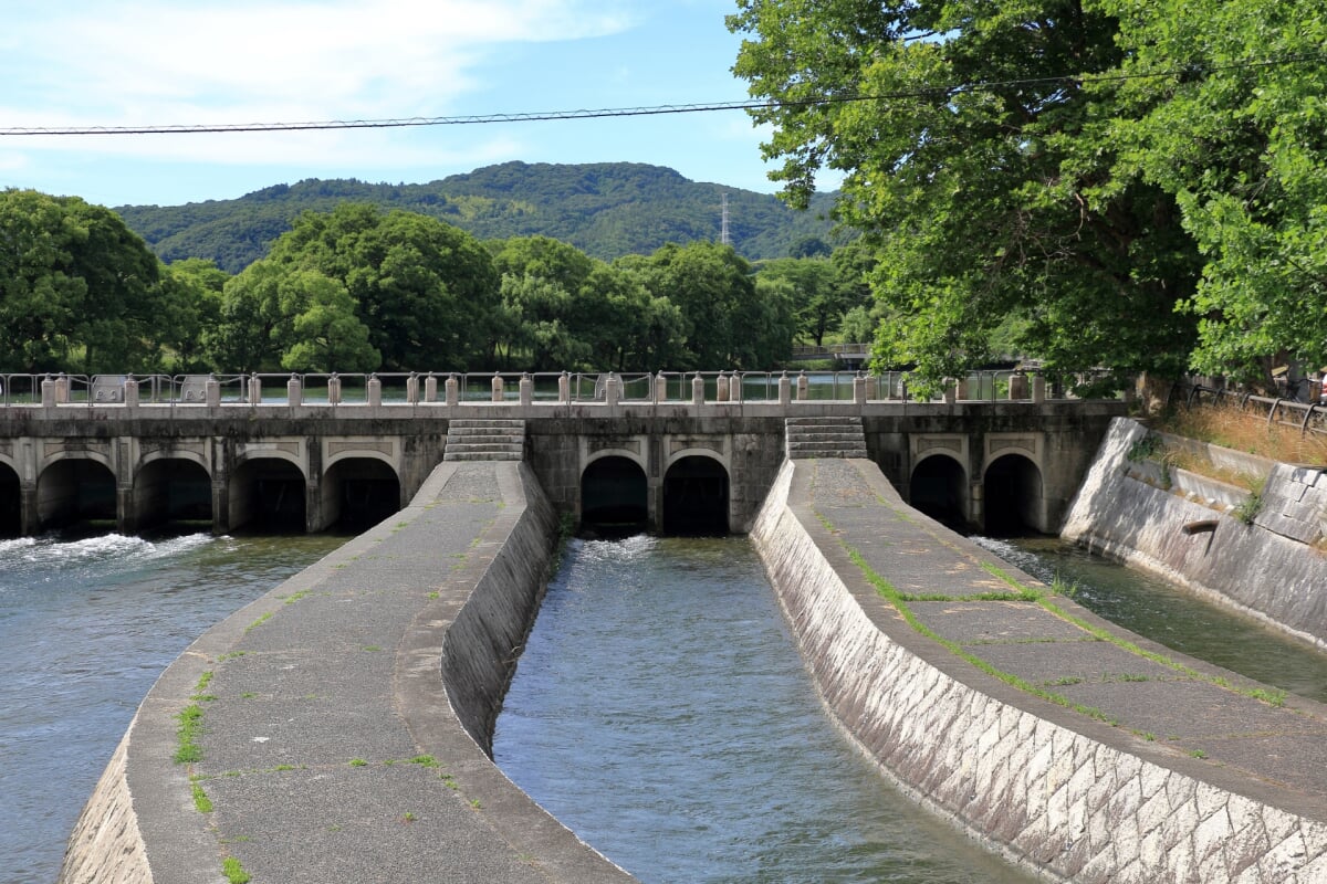 酒津公園の写真2