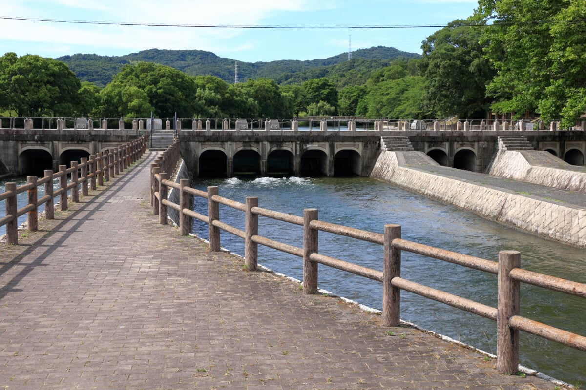 酒津公園の写真3