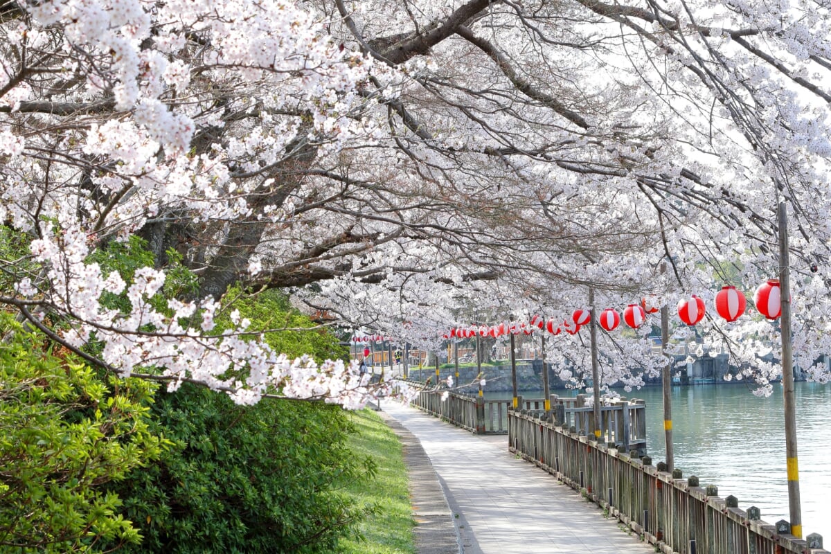 酒津公園の写真5