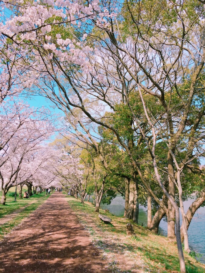 酒津公園の写真6