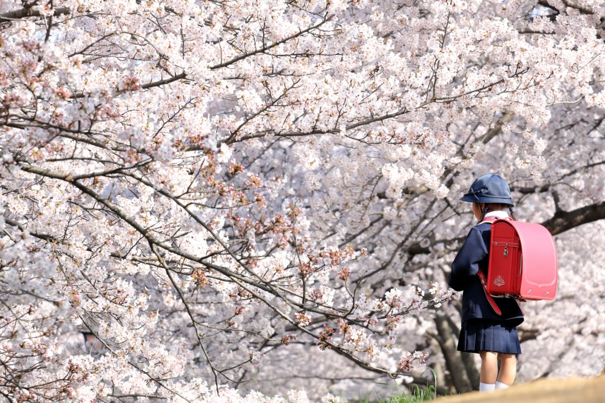 酒津公園の写真8