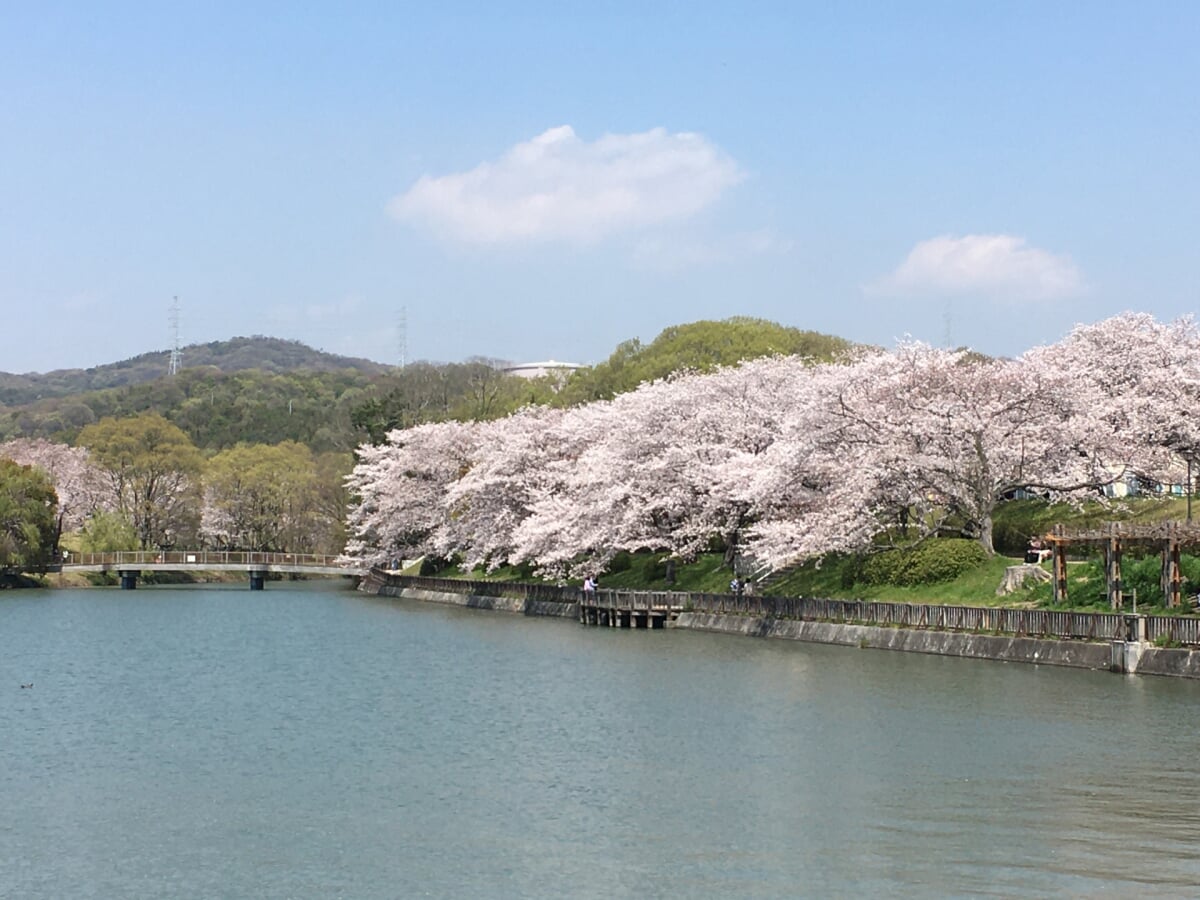酒津公園の写真9