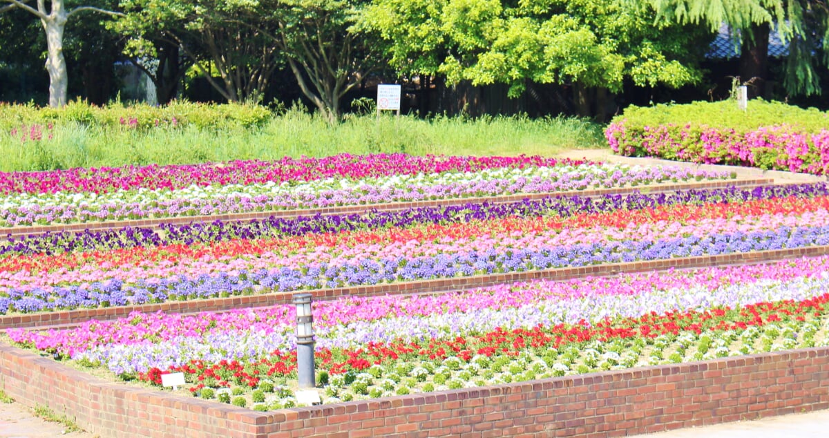 酒津公園の写真10