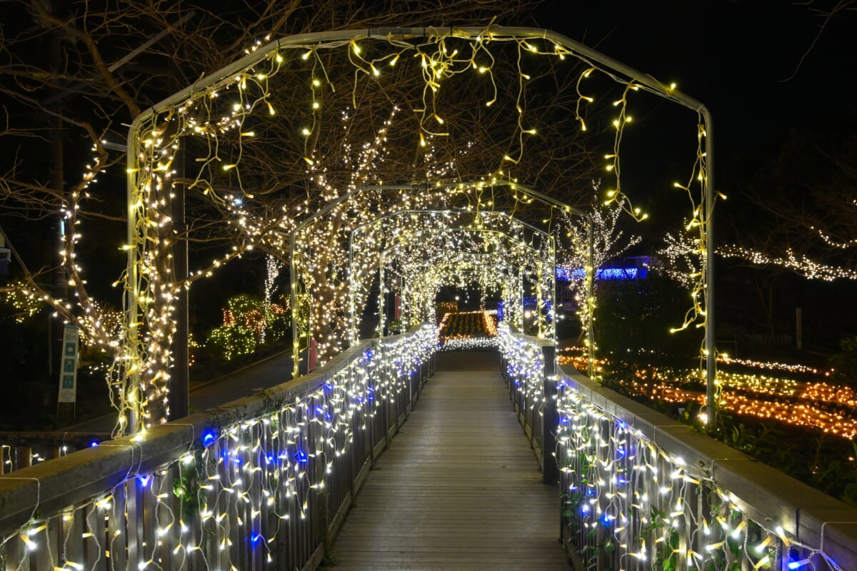 亀ヶ岡広場の写真4