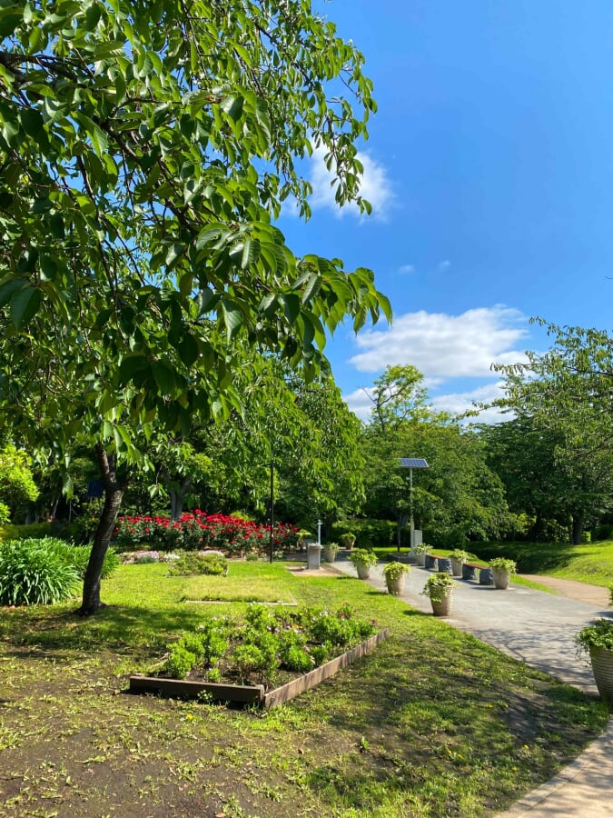 亀ヶ岡広場の写真1