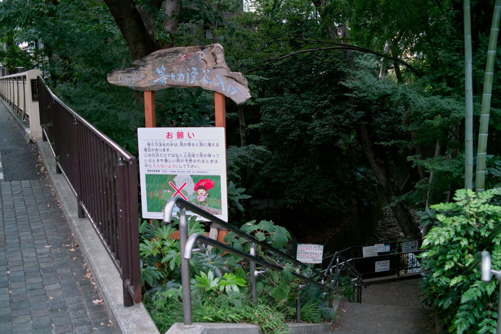 等々力不動尊の写真2