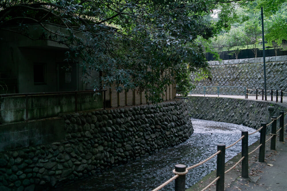 等々力不動尊の写真3