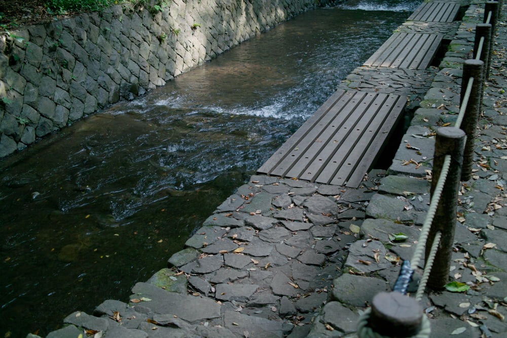 等々力不動尊の写真4