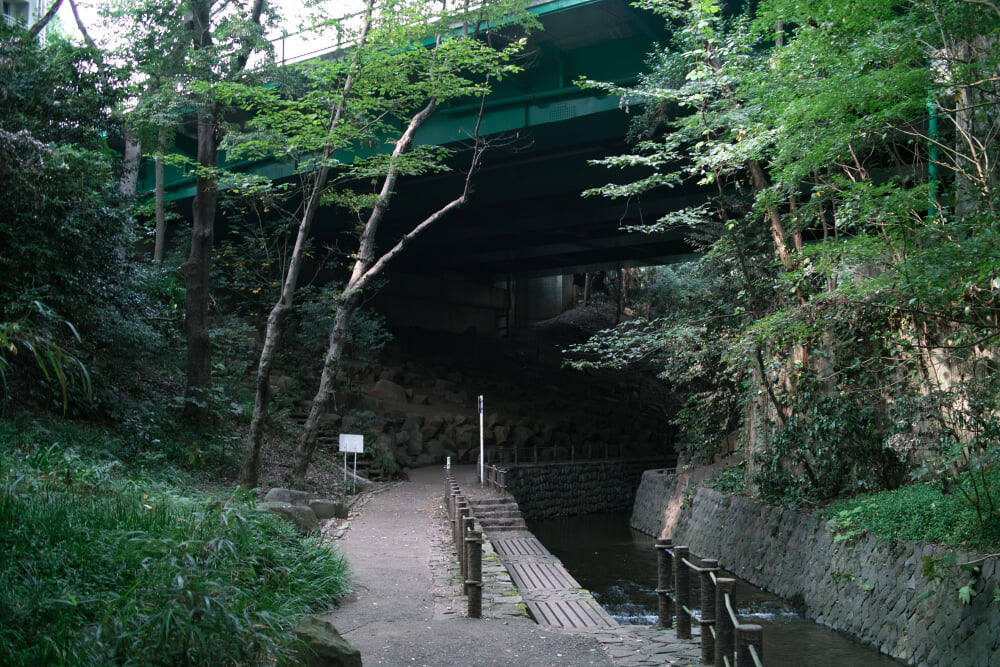 等々力不動尊の写真7