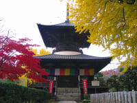 鑁阿寺