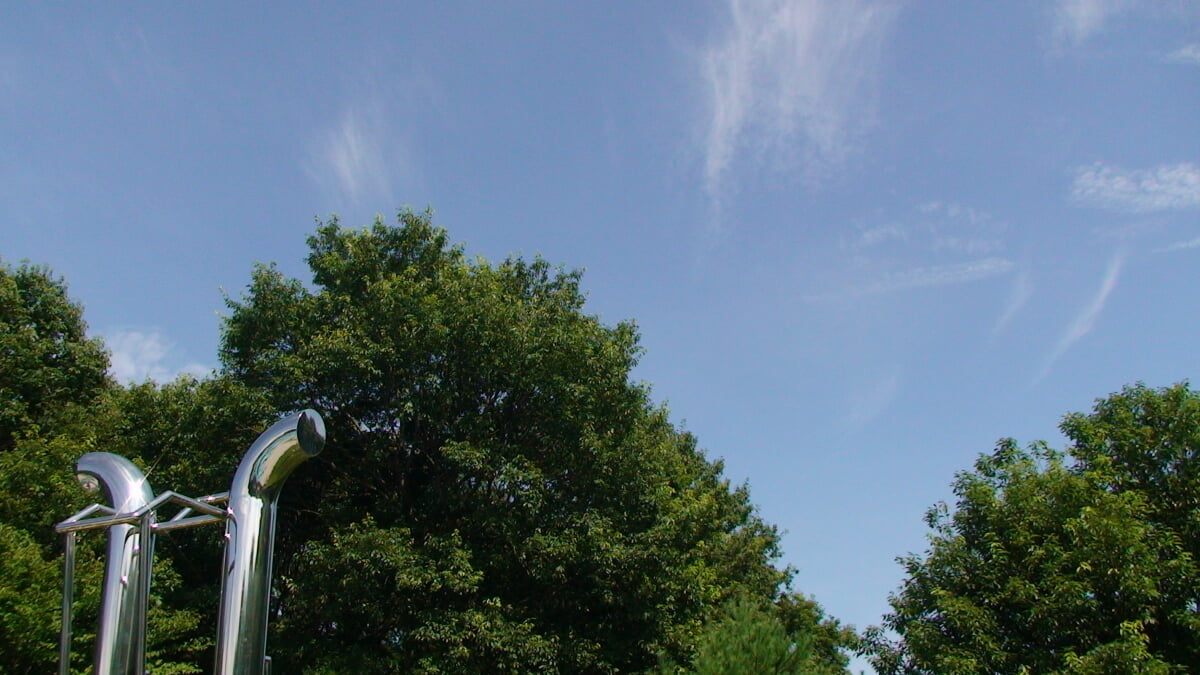 那須野が原公園の写真13