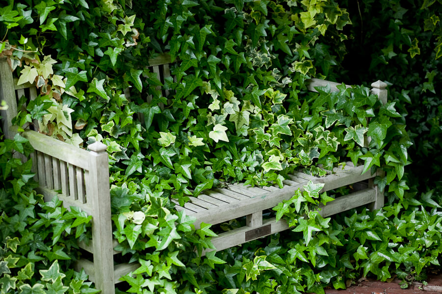 松江イングリッシュガーデンの写真5