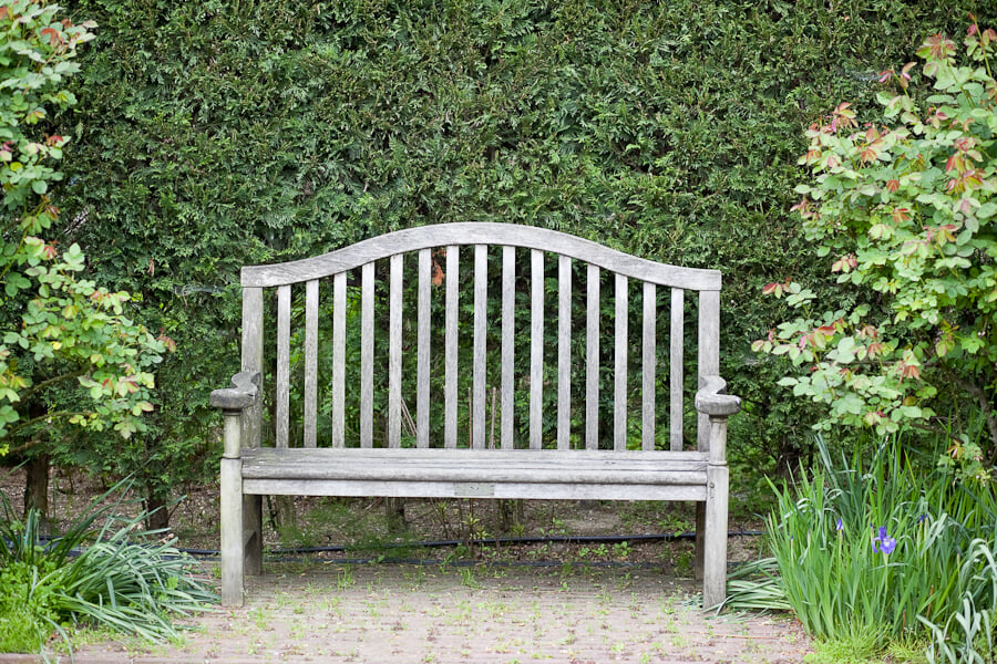 松江イングリッシュガーデンの写真9