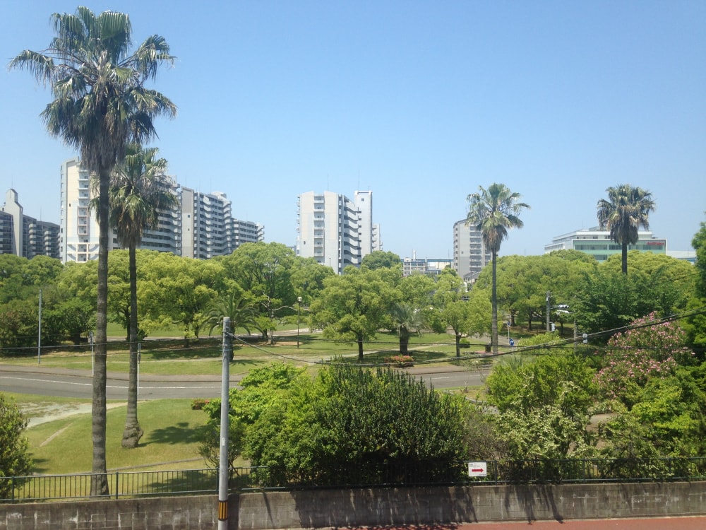 貝塚公園の写真2