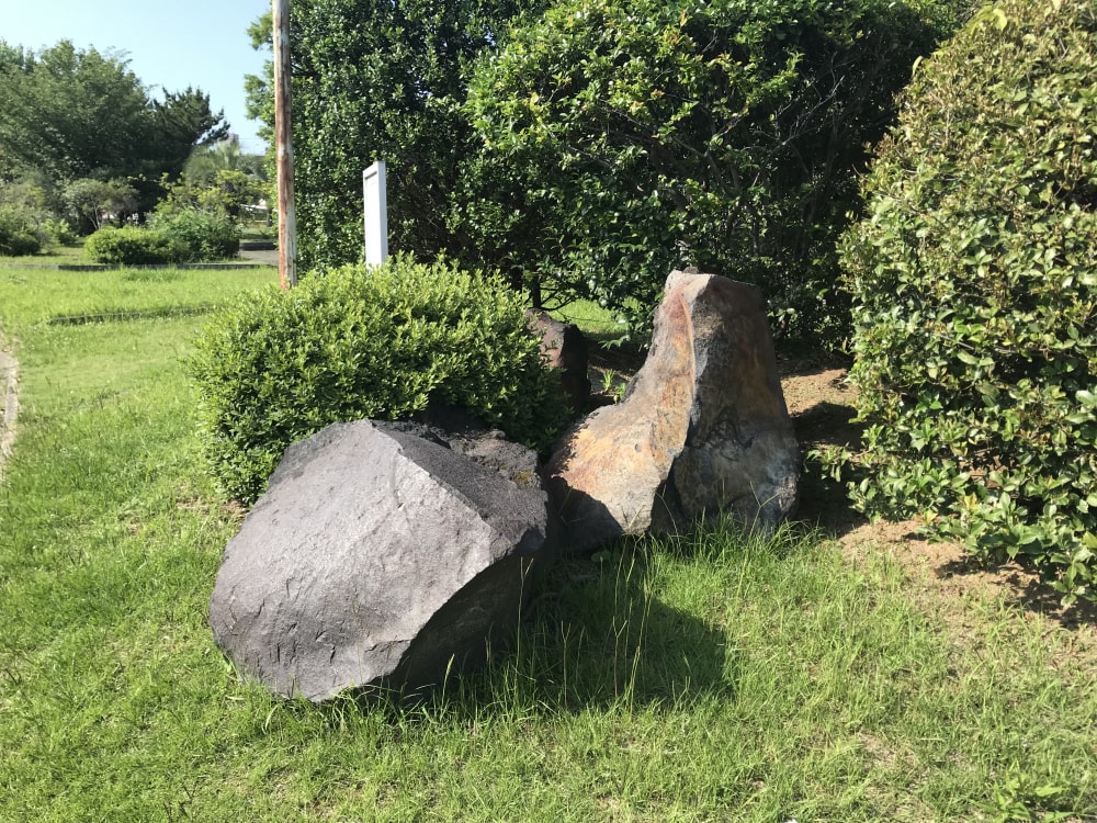 貝塚公園の写真5